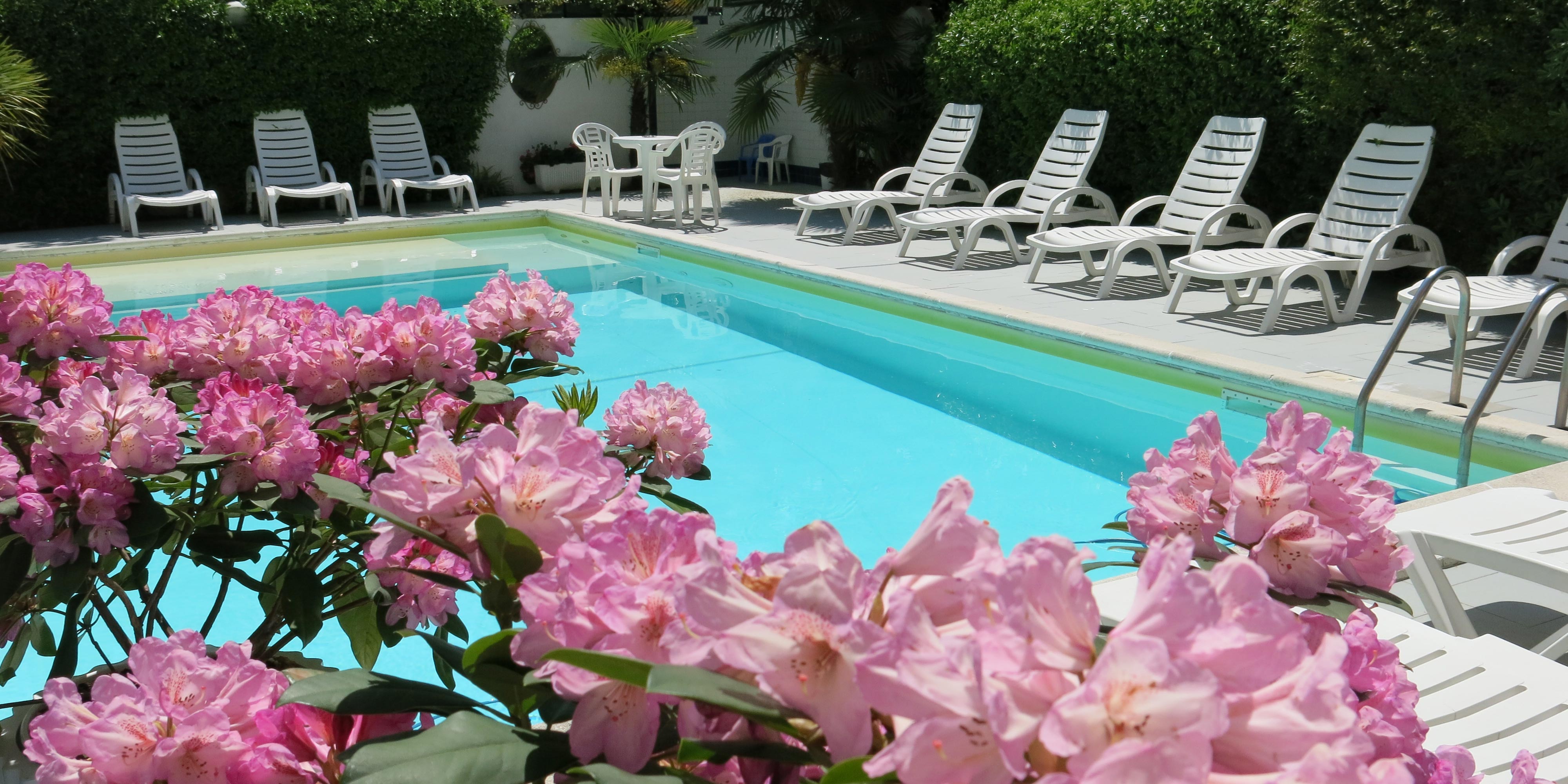 offerta pensione completa hotel riccione con piscina